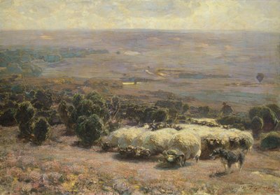 Egy birkacsorda a Luneburger Heide-ben, 1902 alkotó: Heinrich Johann von Zugel