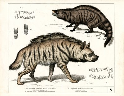  alkotó: Heinrich Leutemann