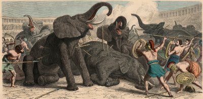 Az ókori Róma: Elefántokat öltek meg az amfiteátrumban, 1866 alkotó: Heinrich Leutemann