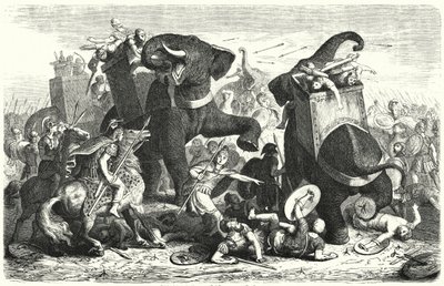 Gázai csata, ie 312 (metszet) alkotó: Heinrich Leutemann