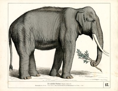  alkotó: Heinrich Leutemann