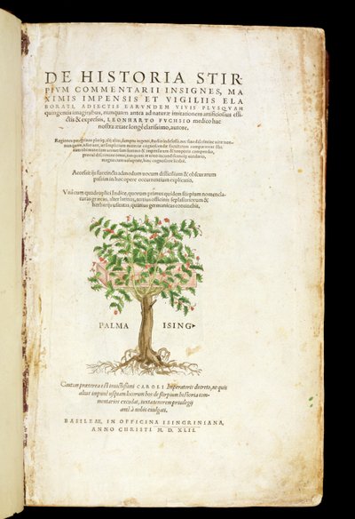 Címlap a "De Historia Stirpium Commentarii Insignes"-ból, Leonard Fuchs (1501-66), metszett Rodolphe Speckle (megh. 1550), megjelent 1542 alkotó: Heinrich and Meyer, Albert Fullmaurer