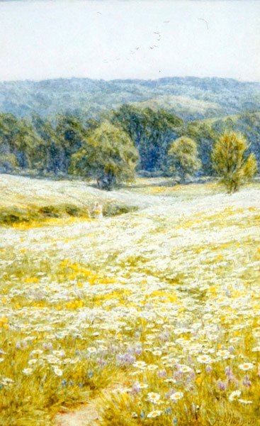 Oxeye Daisies, Westerham közelében, Kentben (akvarell papíron) alkotó: Helen Allingham