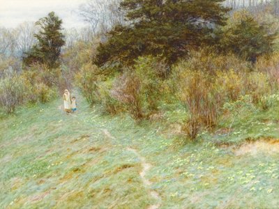 Primroses a Surrey Heath-en (wc papíron) alkotó: Helen Allingham