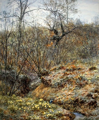 Tavaszi copse, Witley, Surrey (akvarell papíron) alkotó: Helen Allingham