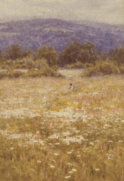 Nyári virágok alkotó: Helen Allingham