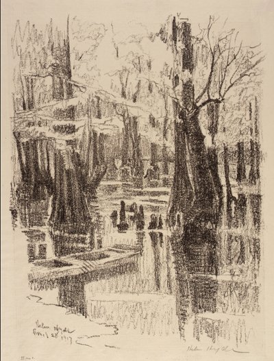 Ciprus mocsár alkotó: Helen Hyde