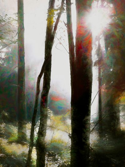 Merj hinni, 2018 alkotó: Helen White