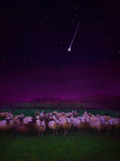 Flock by Night, 2019 alkotó: Helen White