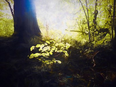 Megszentelt hely, 2018 alkotó: Helen White