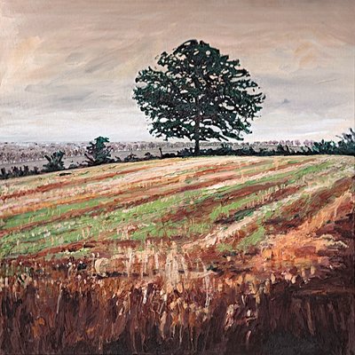 Késő délutáni mezőny, 2009 alkotó: Helen White