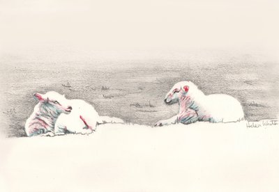 Szunyókálás, 2016, (ceruzarajz) alkotó: Helen White