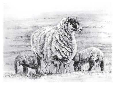 Büszke, 2012 alkotó: Helen White