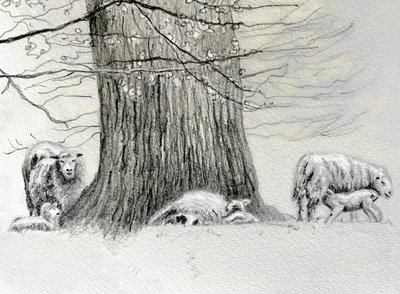 Shady Tree, 2022 alkotó: Helen White