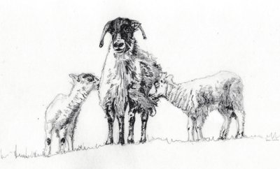 Mi hárman, 2012 alkotó: Helen White