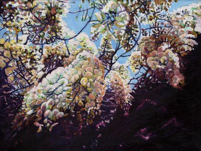 White Wisteria, 2012, alkotó: Helen White