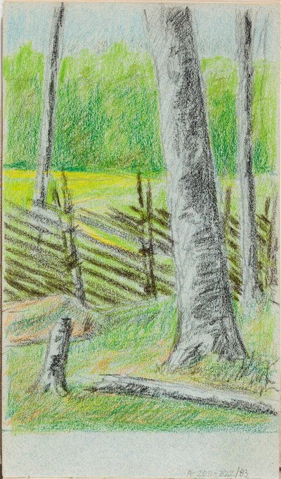 Ohne Titel alkotó: Helene Schjerfbeck