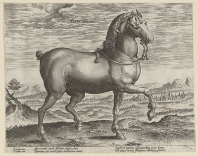 Mén Németországból Eqvvs Germanvs (cím az objektumon) Lófajták az osztrák Don Juan királyi istállójából (sorozat címe) Equile Ioannis Austriaci Caroli (sorozat címe) alkotó: Hendrick Goltzius (possibly)