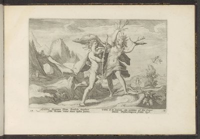 Daphne babérfává változik Ovidius metamorfózisai (sorozat címe) P. Ovidius Naso rekreációi (sorozat címe) alkotó: Hendrick Goltzius (workshop of)