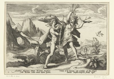 Daphne babérfává változik Ovidius metamorfózisai (sorozat címe) alkotó: Hendrick Goltzius (workshop of)