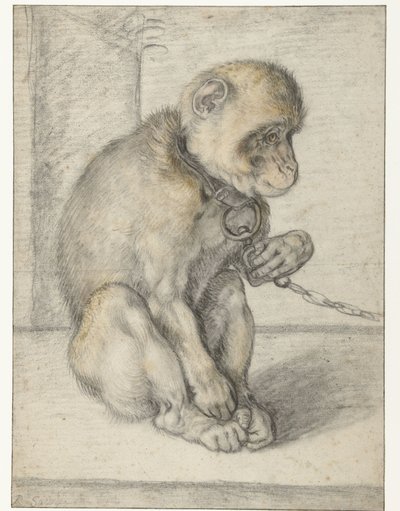 Egy ülő majom a láncon Majom a láncon, ülve alkotó: Hendrick Goltzius
