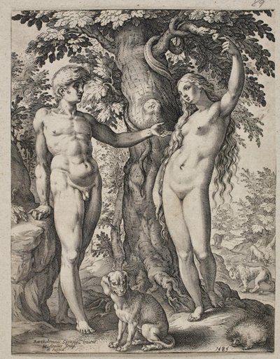 Ádám és Éva alkotó: Hendrick Goltzius