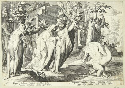 Phaeton nővérei nyárfává, Cygnus pedig hattyúvá változik alkotó: Hendrick Goltzius
