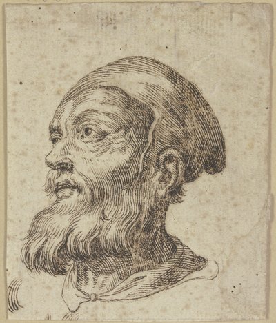 Idős férfi feje balra néző háromnegyedes profilban alkotó: Hendrick Goltzius