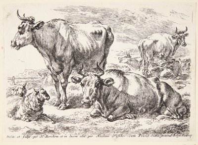 Az Out család egyik tagjának portréja. Cornelis Out (?) alkotó: Hendrick Goltzius
