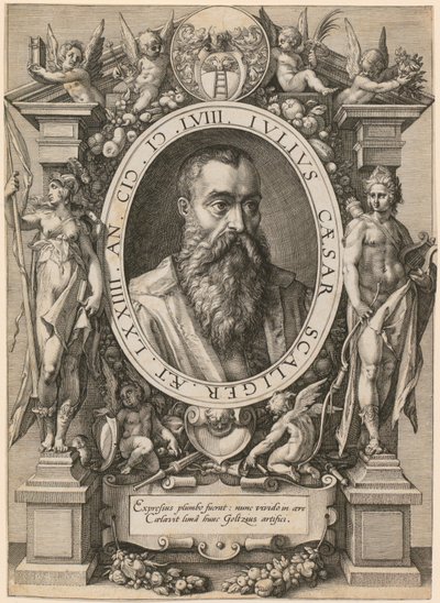 Julius Caesar Scaliger portréja alkotó: Hendrick Goltzius