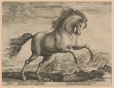 vad ló Eqvvs liber et incompǒsitvs (cím az objektumon) Lófajták az osztrák Don Juan királyi istállójából (sorozat címe) alkotó: Hendrick Goltzius