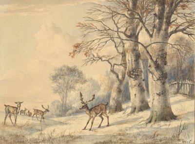 Szarvasok a bükkfák alatt nyarán, 1853. alkotó: Hendrik Gerrit ten Cate