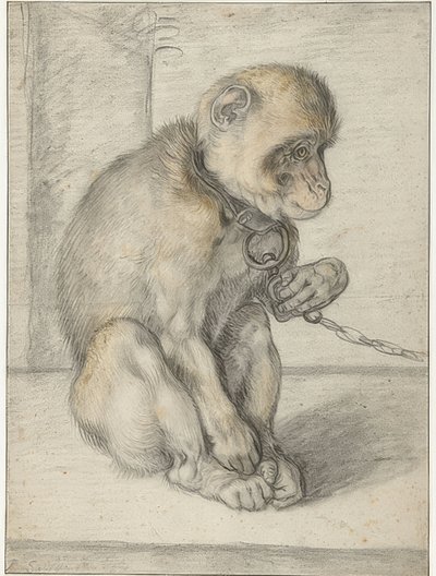Egy láncon ülő majom. 1592-1602 alkotó: Hendrik Goltzius