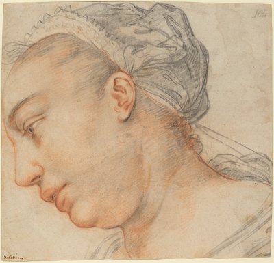 Egy fiatal nő feje alkotó: Hendrik Goltzius