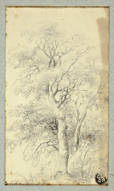 Fa alkotó: Hendrik Pieter Koekkoek