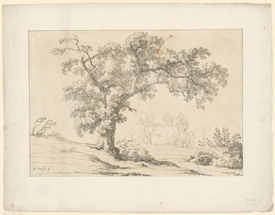 Fa a tájban Tentamina Lithographica (sorozat címe) Olasz tájak (sorozat címe) alkotó: Hendrik Voogd