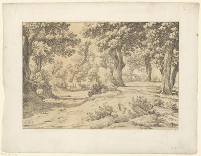 erdő kilátás Tentamina Lithographica (sorozat címe) Olasz tájak (sorozat címe) alkotó: Hendrik Voogd