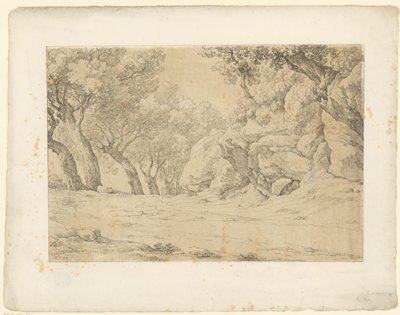 Avenue benőtt sziklákkal Tentamina Lithographica (sorozat címe) Olasz tájak (sorozat címe) alkotó: Hendrik Voogd