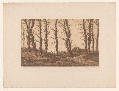 Oud Blaricummerweg (eredeti cím a tárgyon) alkotó: Hendrik Weegewijs (signed by artist)