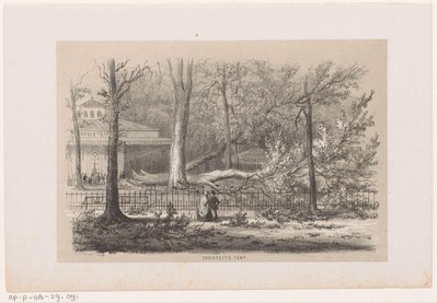 Az 1860. május 28-i vihar után kidőlt a fa a klubnál Szociális sátor (cím az objektumon) Tíz litografált vázlatot tartalmazó album, amely a pusztulás Tooneelenjét ábrázolja, akit felkavart az 1860. május 28-i vihar a Gravenhaagsche Boschban. alkotó: Hendrik Wilhelmus Last