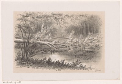 Fa kitört, az 1860. május 28-i vihar után Tó (cím az objektumon) Tíz litografált vázlatot tartalmazó album, amely a pusztulás Tooneelenjét ábrázolja, akit felkavart az 1860. május 28-i vihar a Gravenhaagsche Boschban, Scheveningenben stb. alkotó: Hendrik Wilhelmus Last