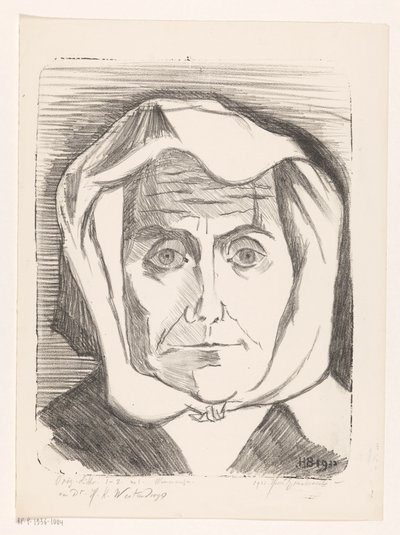 Egy ismeretlen nő portréja Insane (eredeti sorozatcím a tárgyon) alkotó: Henri Braakensiek (signed by artist)