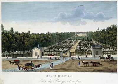 Kilátás a Jardin du Roi-ra (Növénykert) a szemközti hídról - Courvoisier "" Párizsi kilátások" című filmben alkotó: Henri Courvoisier-Voisin