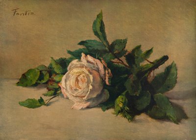 Fehér rózsa, c1863, 1938 alkotó: Ignace Henri Jean Fantin Latour