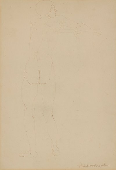Férfi akt (toll papíron) alkotó: Henri Gaudier-Brzeska