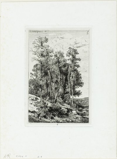 Nyírek és tölgyek alkotó: Henri-Joseph Harpignies