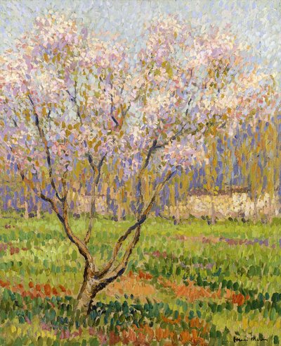 Virágzó almafa; Alma virágok, alkotó: Henri Martin