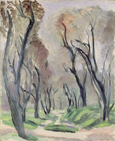 Olajfák sugárútja alkotó: Henri Matisse