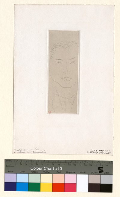  alkotó: Henri Matisse