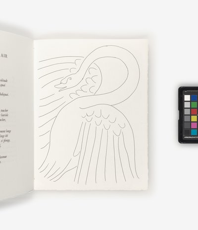 Költészet alkotó: Henri Matisse